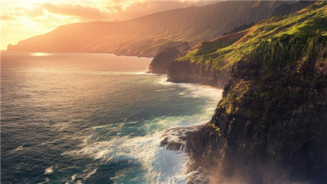 Banner Picture